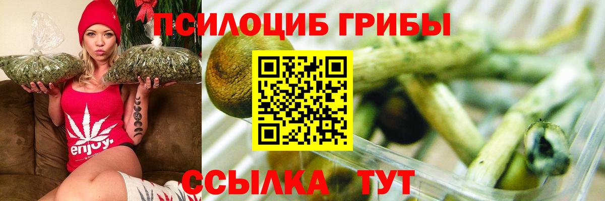 Псилоцибиновые грибы мицелий Знаменск
